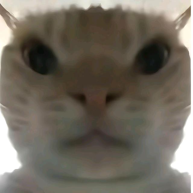 今朝电竞