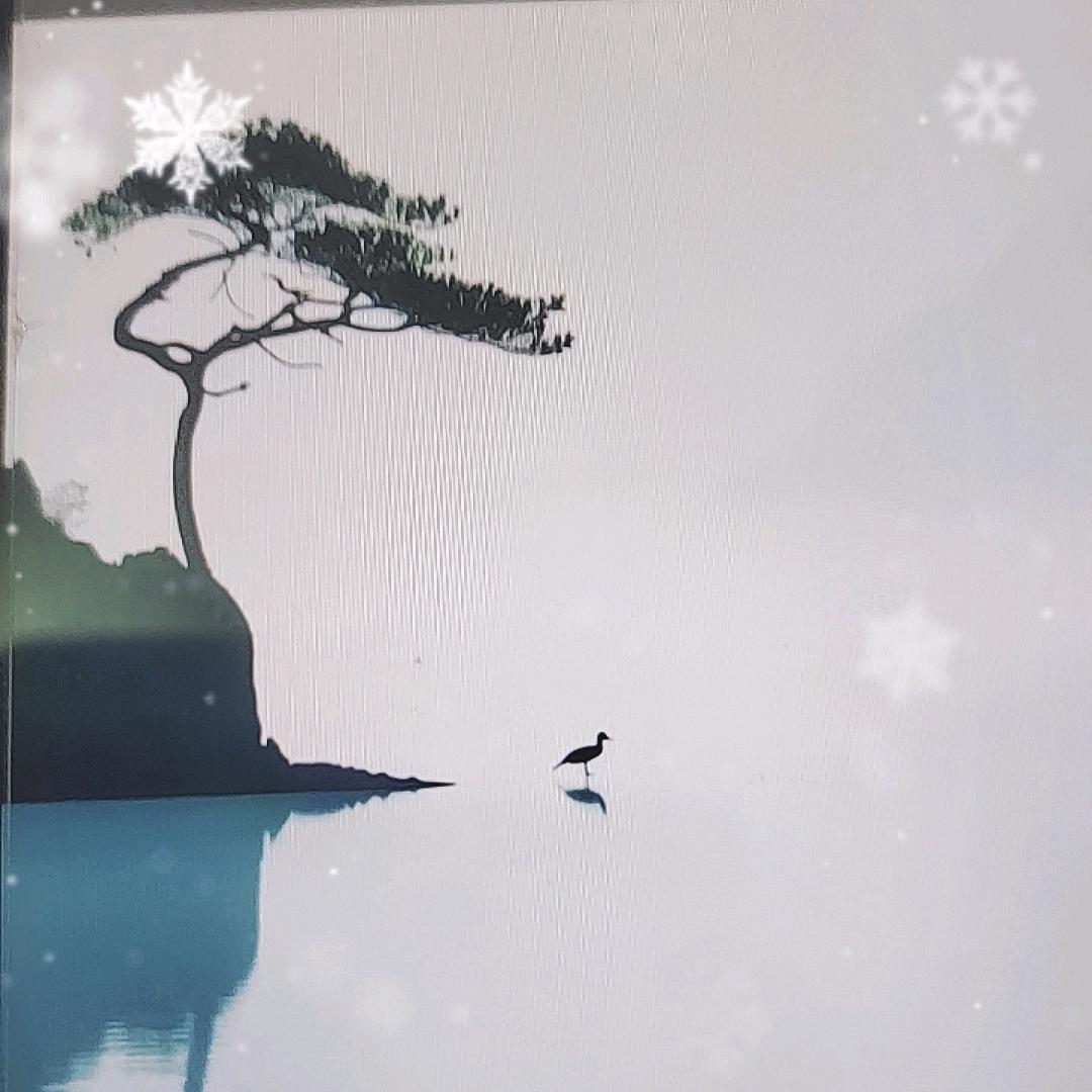情感第一线