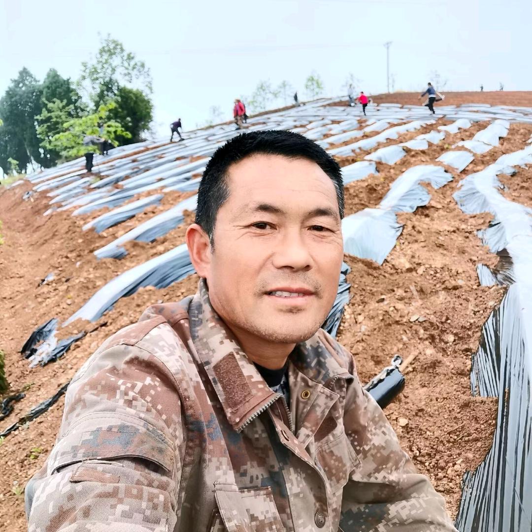 先锋合作社陈大胆