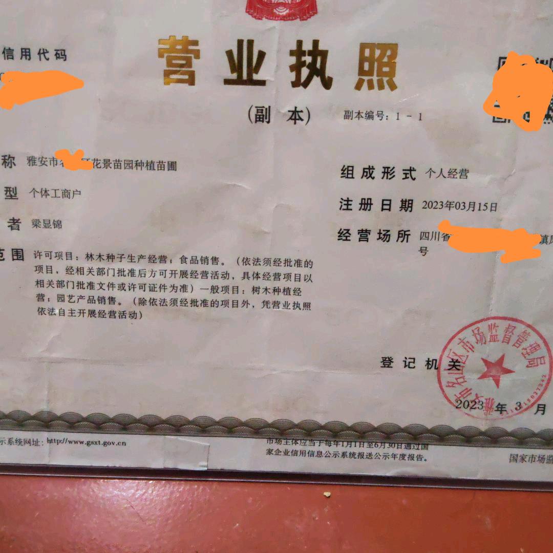 雅安市名山区花景苗园种植苗圃