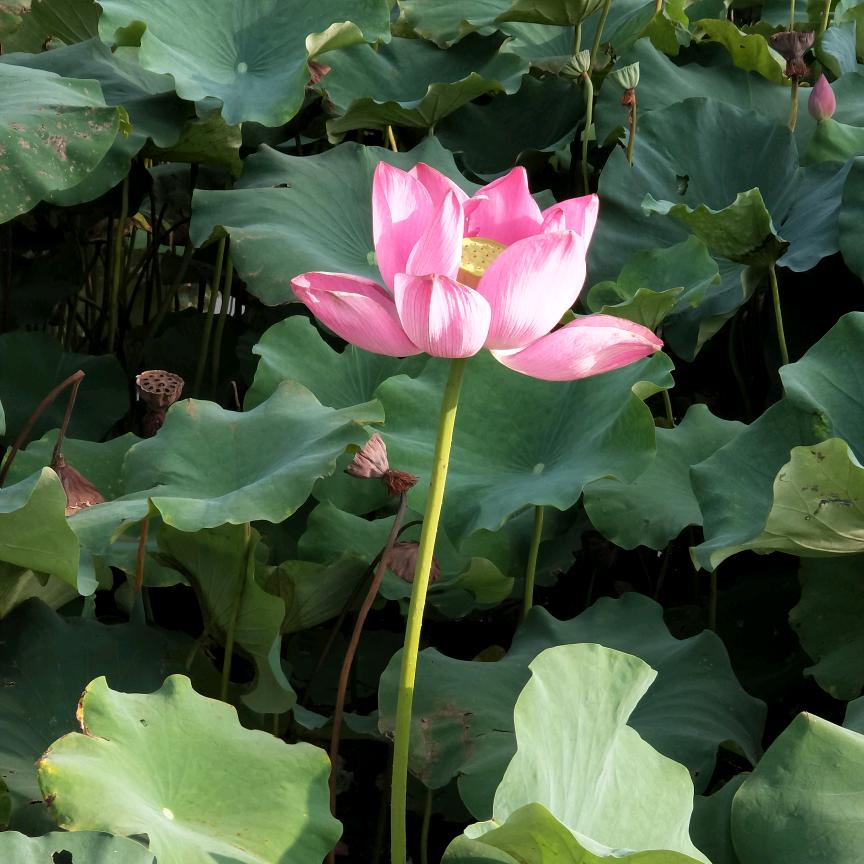 潼南区福慧艾灸保健养生馆