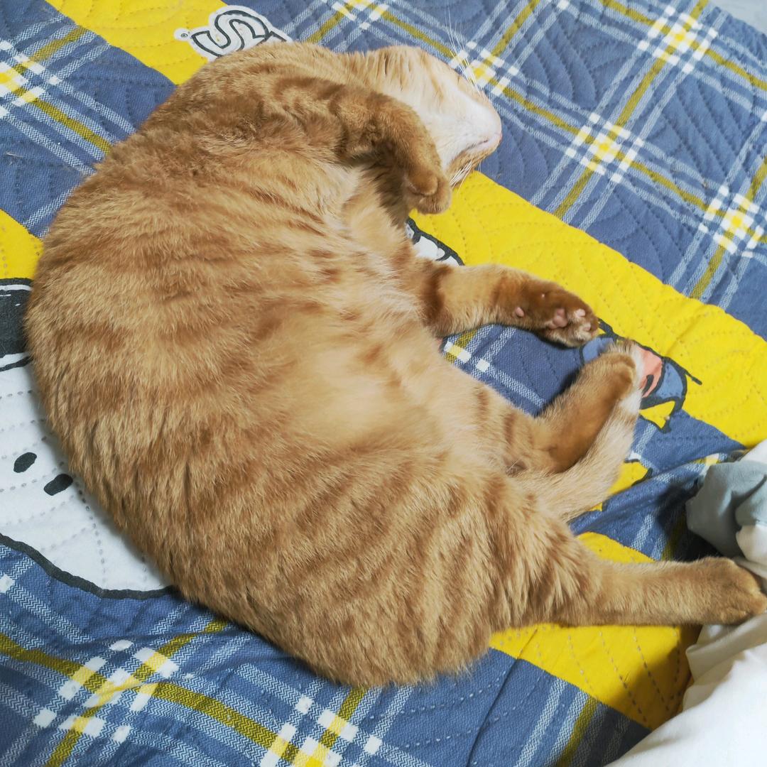 林北北（下班沉淀版）