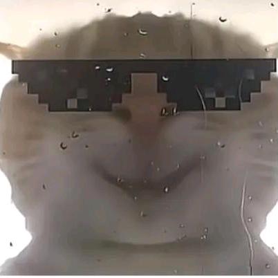 顾夜白（三角洲行动）