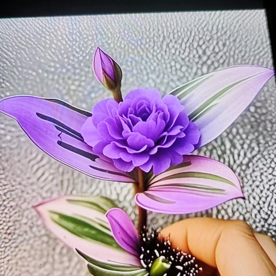 🎻走进红尘🎤🍷🎸🍾🍒🍒