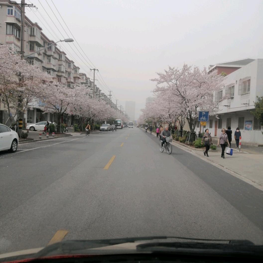 自由自在的生活