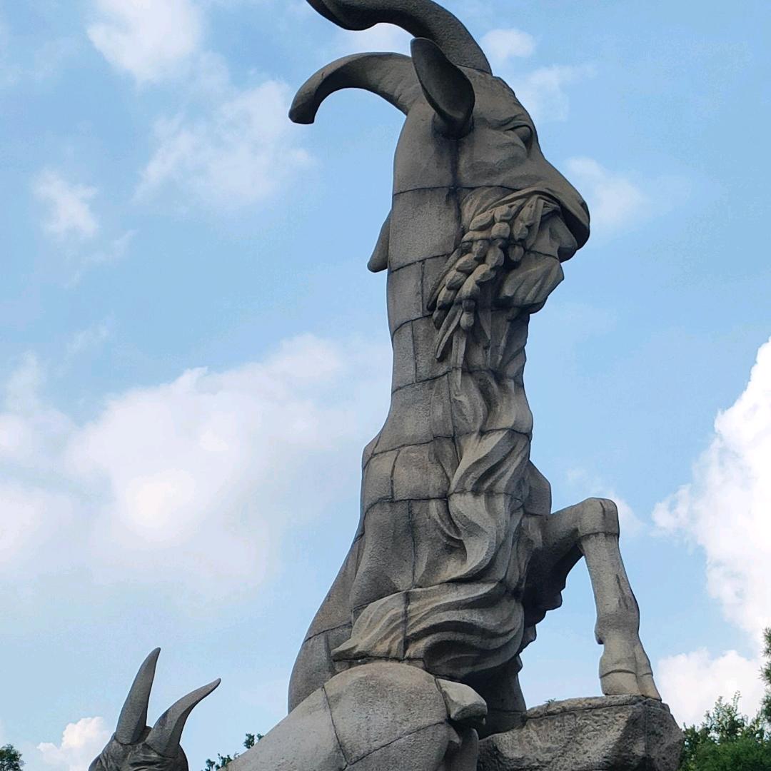 柠檬