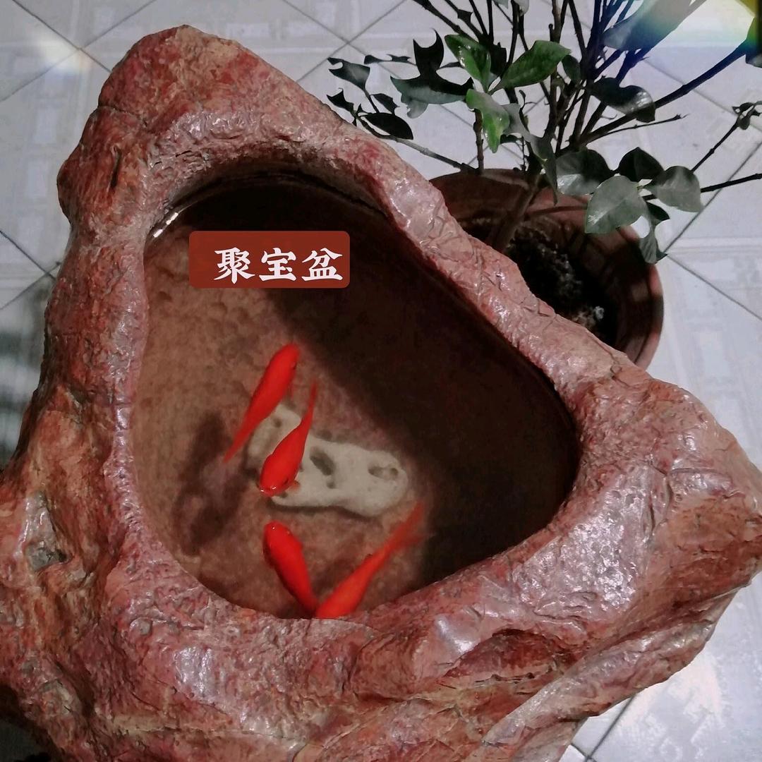 塞外奇石