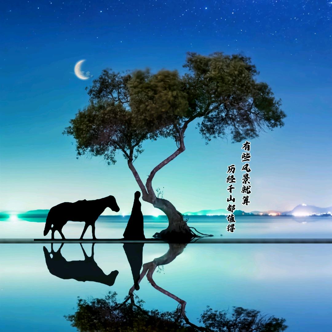 小七