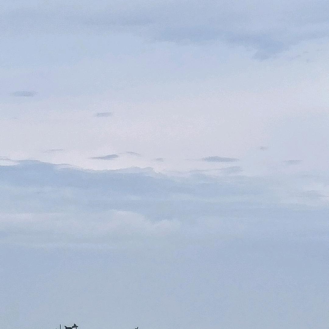 小七