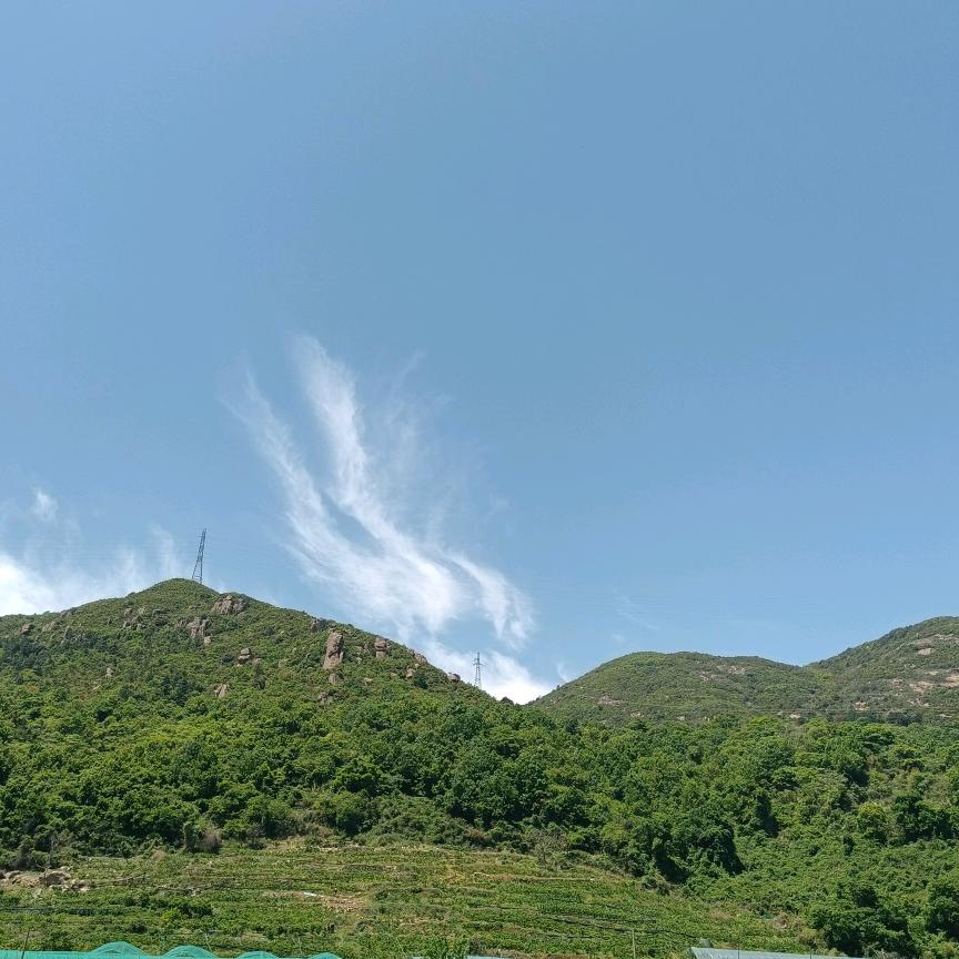 糯米团