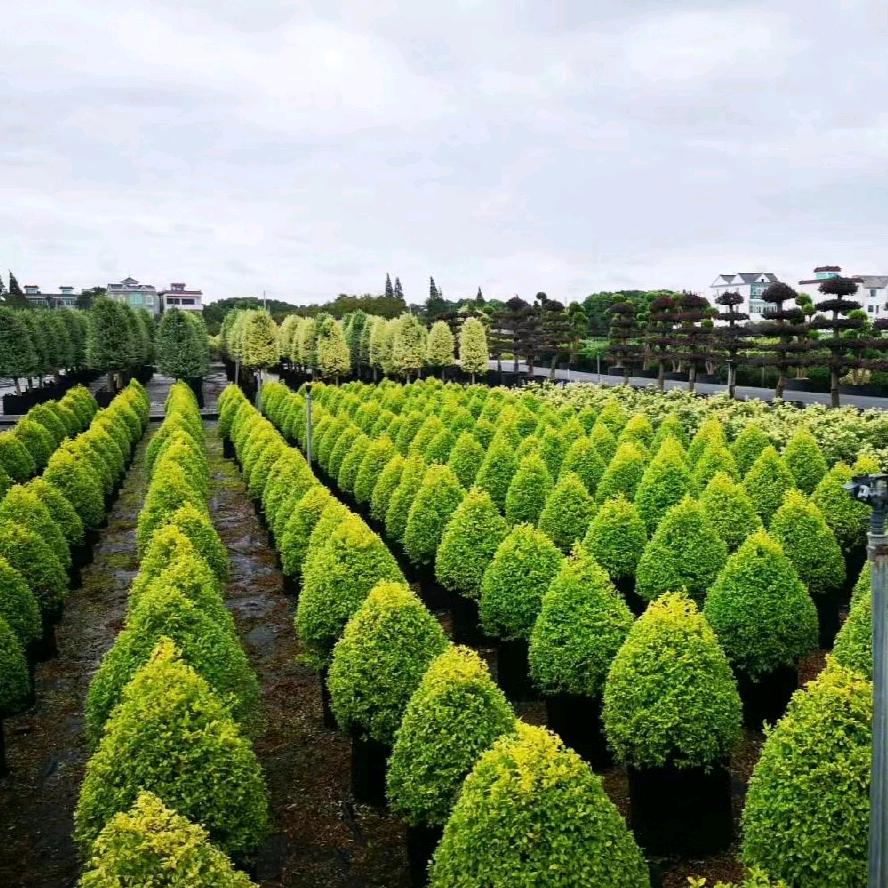 全国收购-市政工程