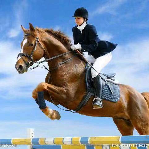 阿涛🐎场