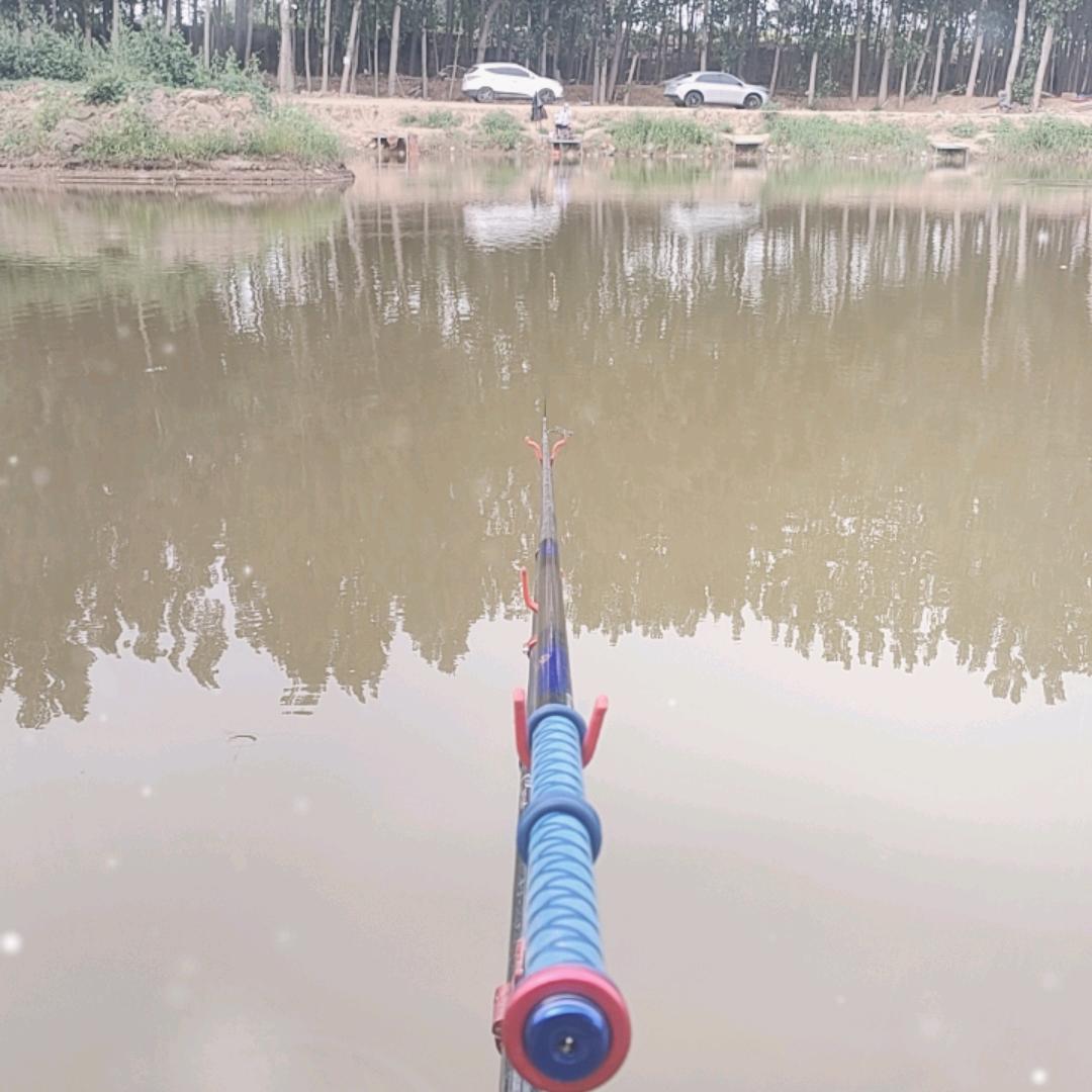 二哥爱钓鱼🎣