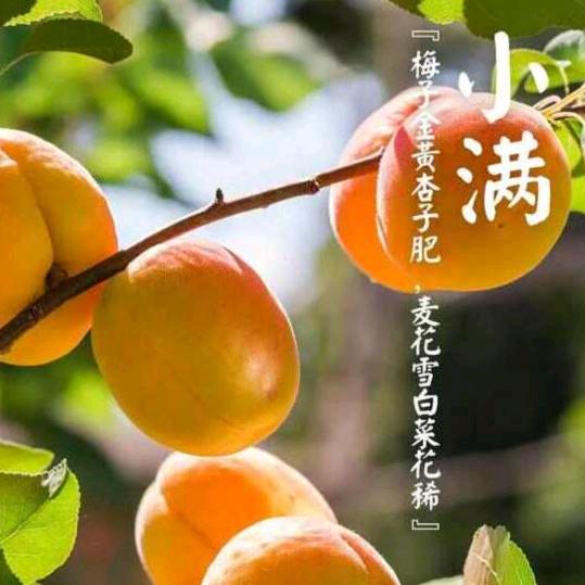小满a久悦