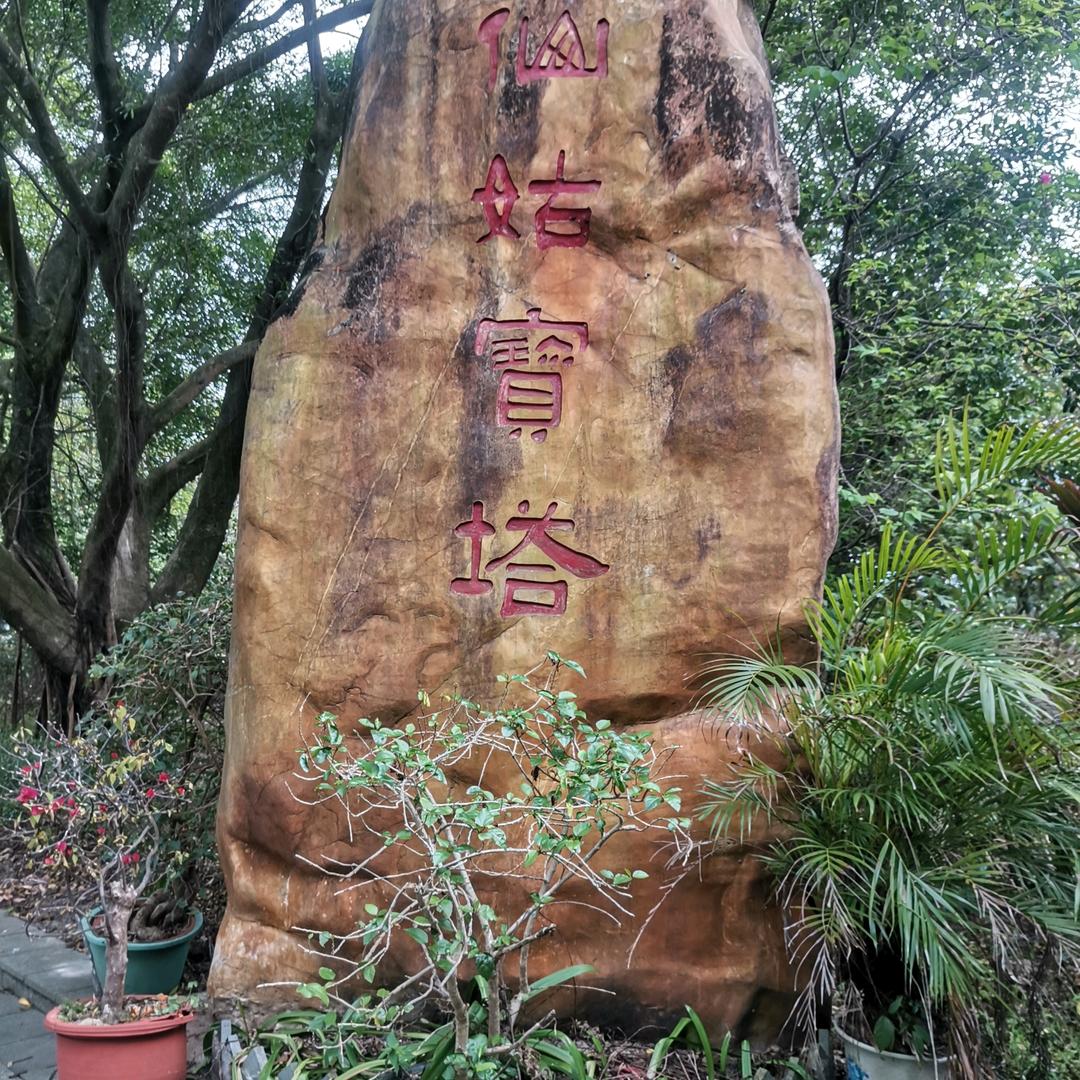 烟花再美、只是瞬间