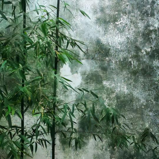 春暖花开🌸