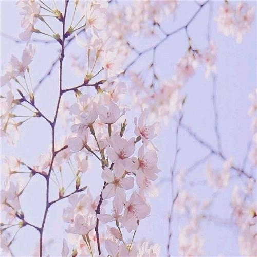 随缘