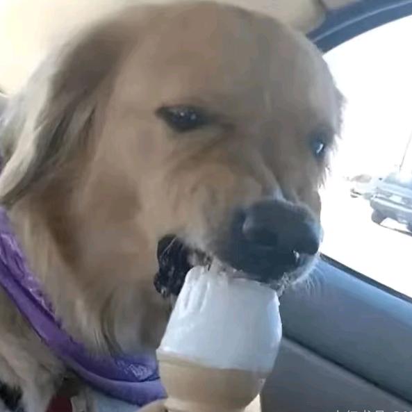 上网只为了等你