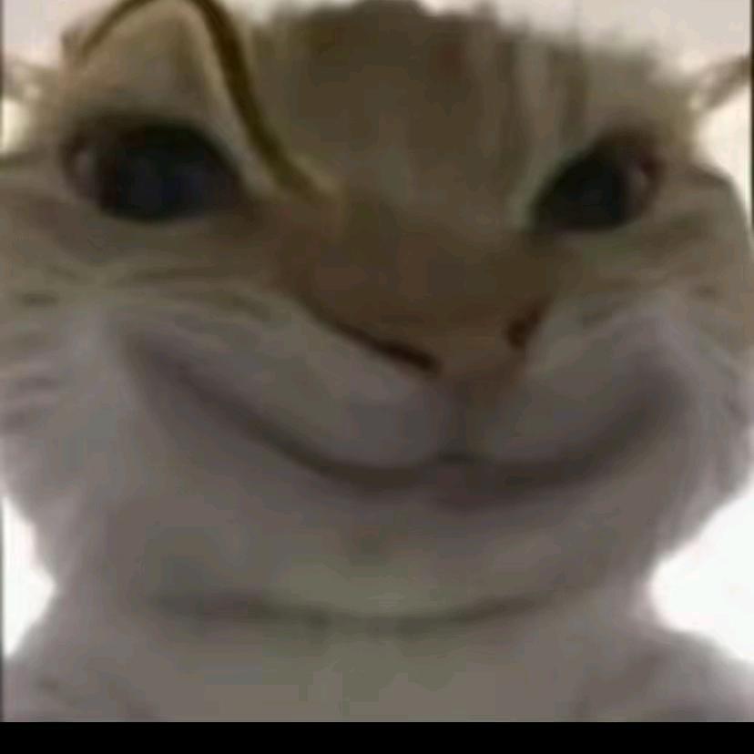 蝉