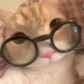 小猪呼呼吗