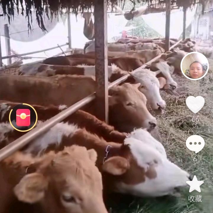 王万兵