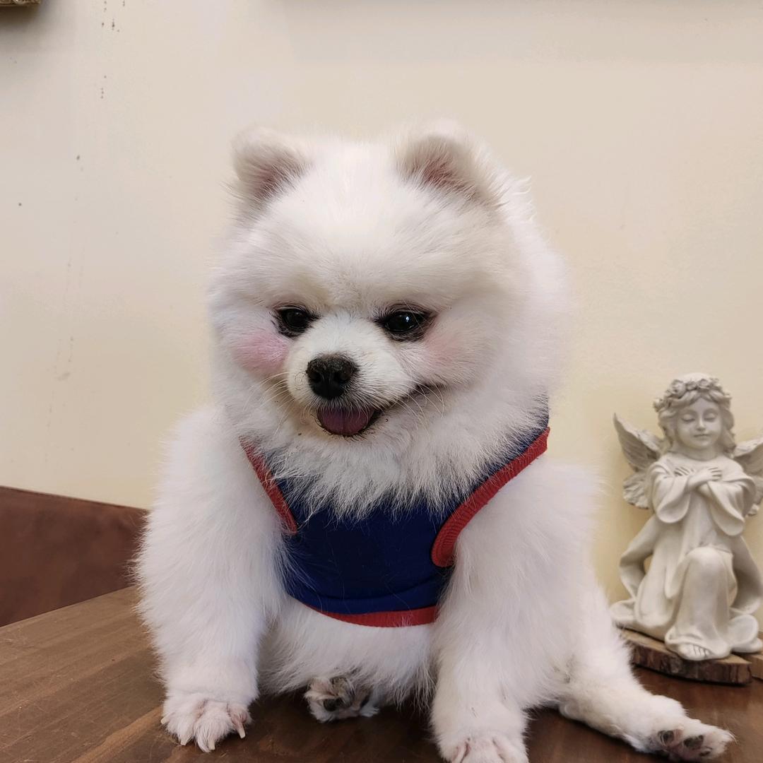 我可莉害了