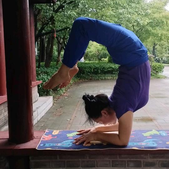 秋天的枫叶_247096992