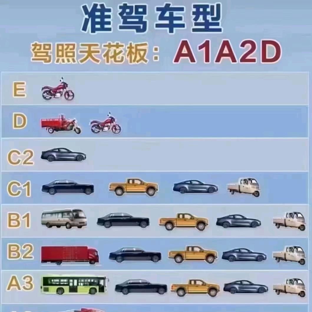 [上海驾校闫教练]