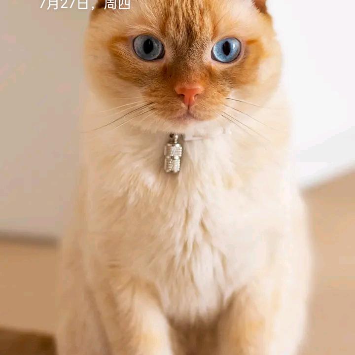 我很高兴