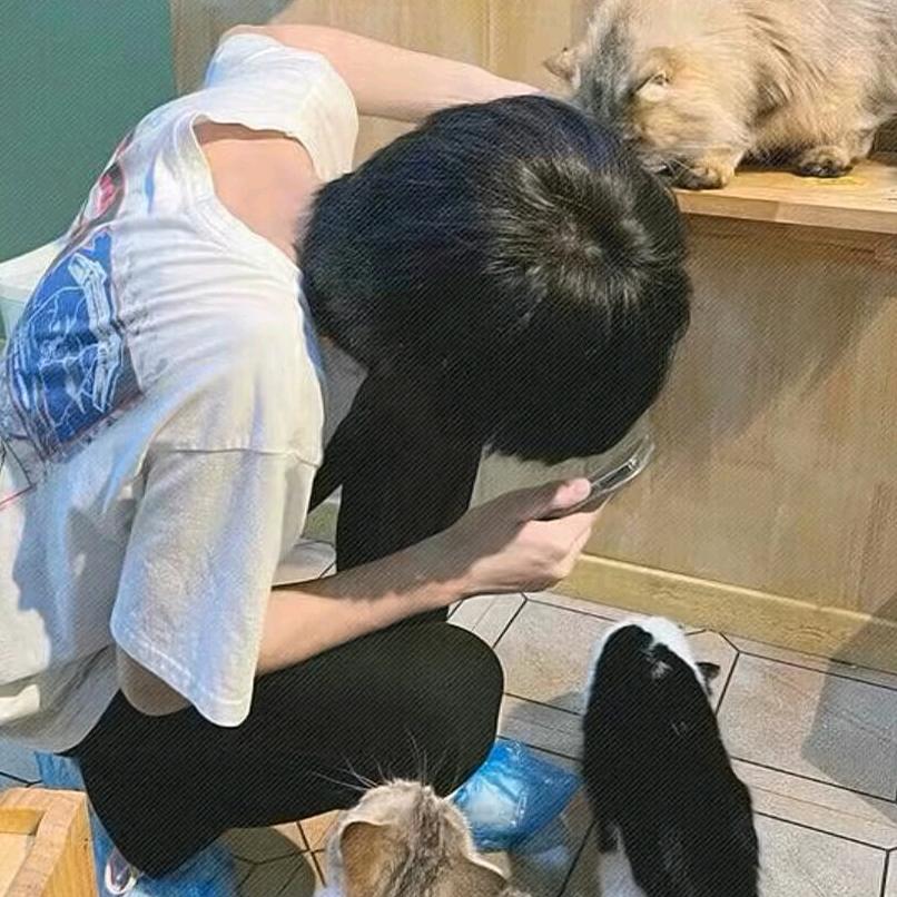 （“。”）