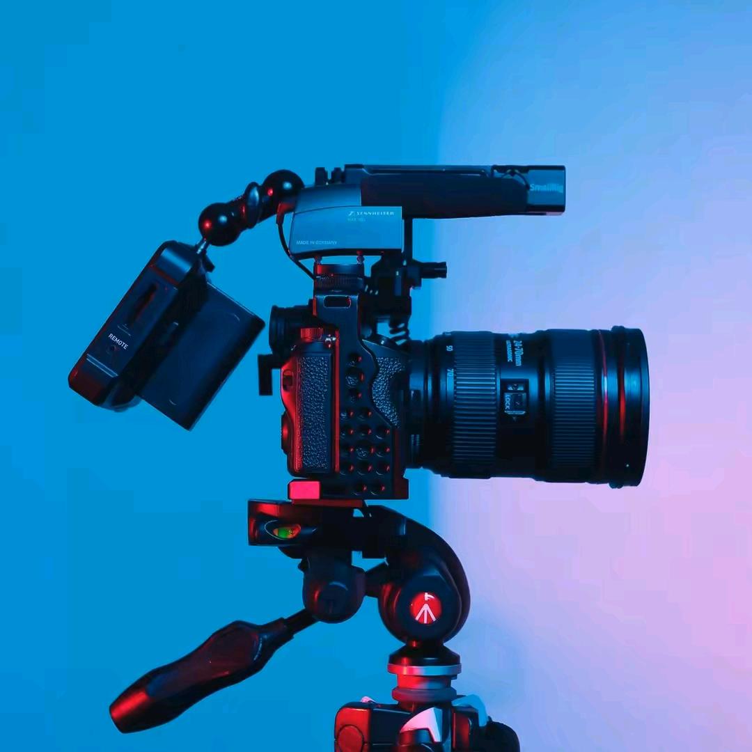 精灵 · 懵懂之伴