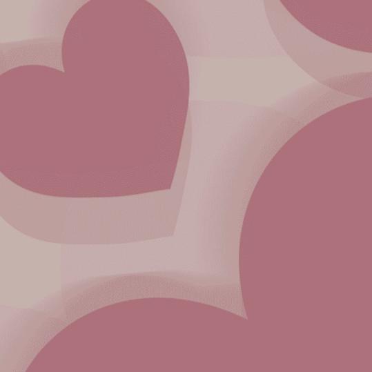 👿👿👿👿👿👿👿