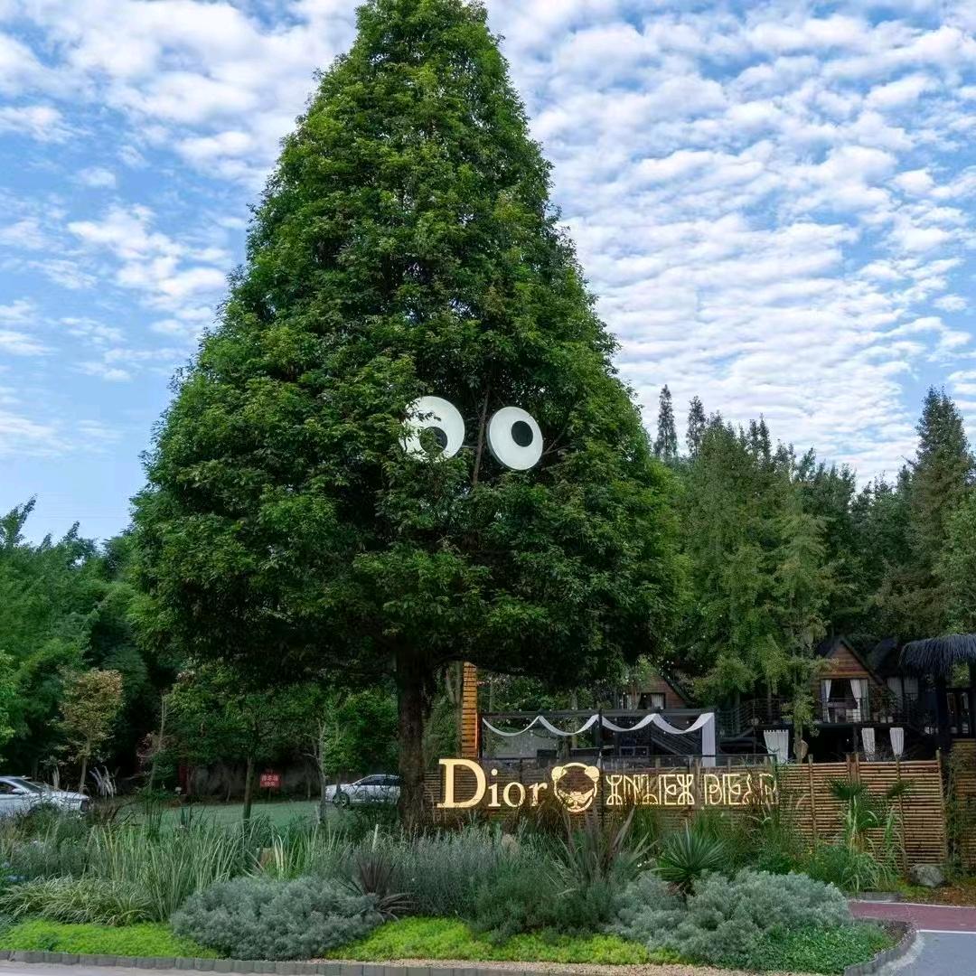 长停映月·主理人