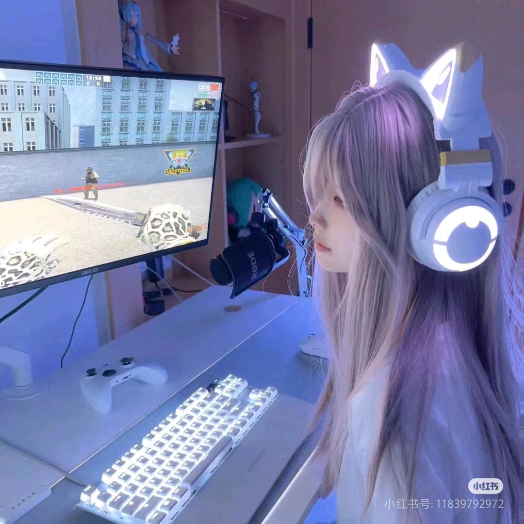 菜小月月