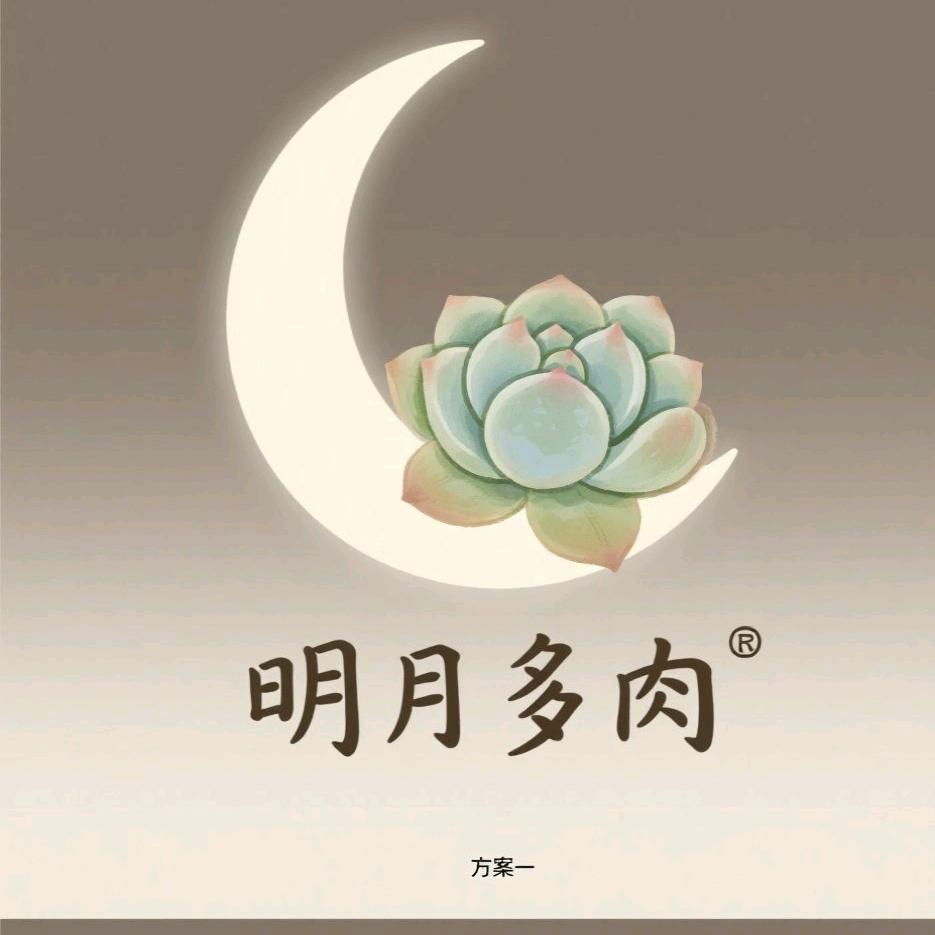 明月多肉1
