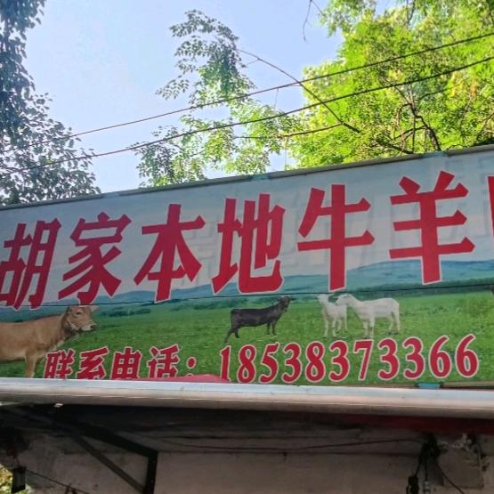 胡家本地牛羊肉