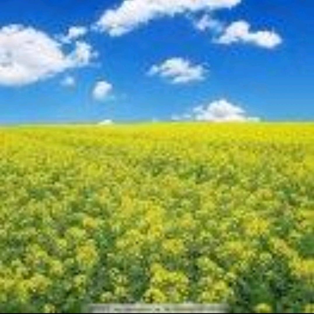 一路平安