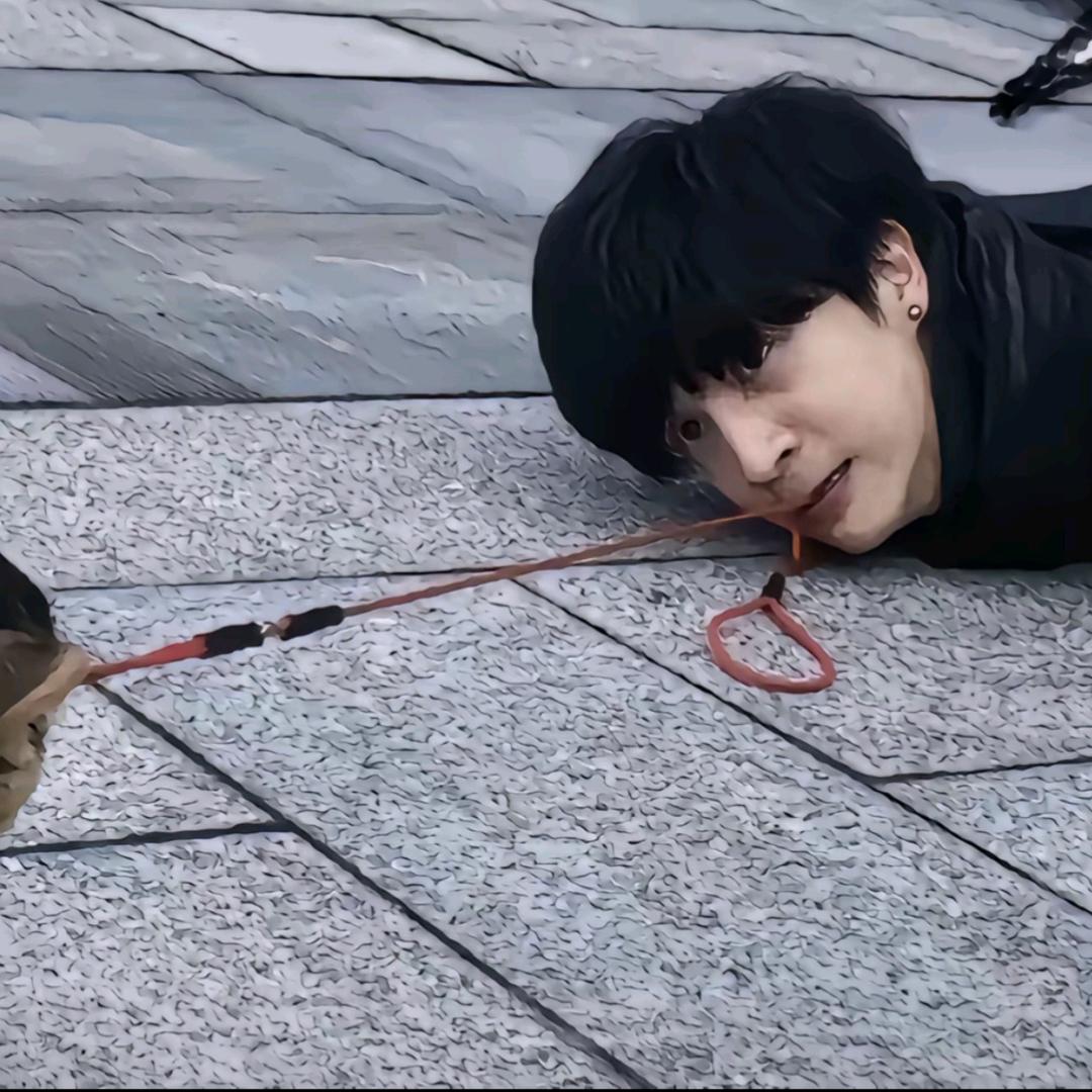 哪只猫？（认真版）