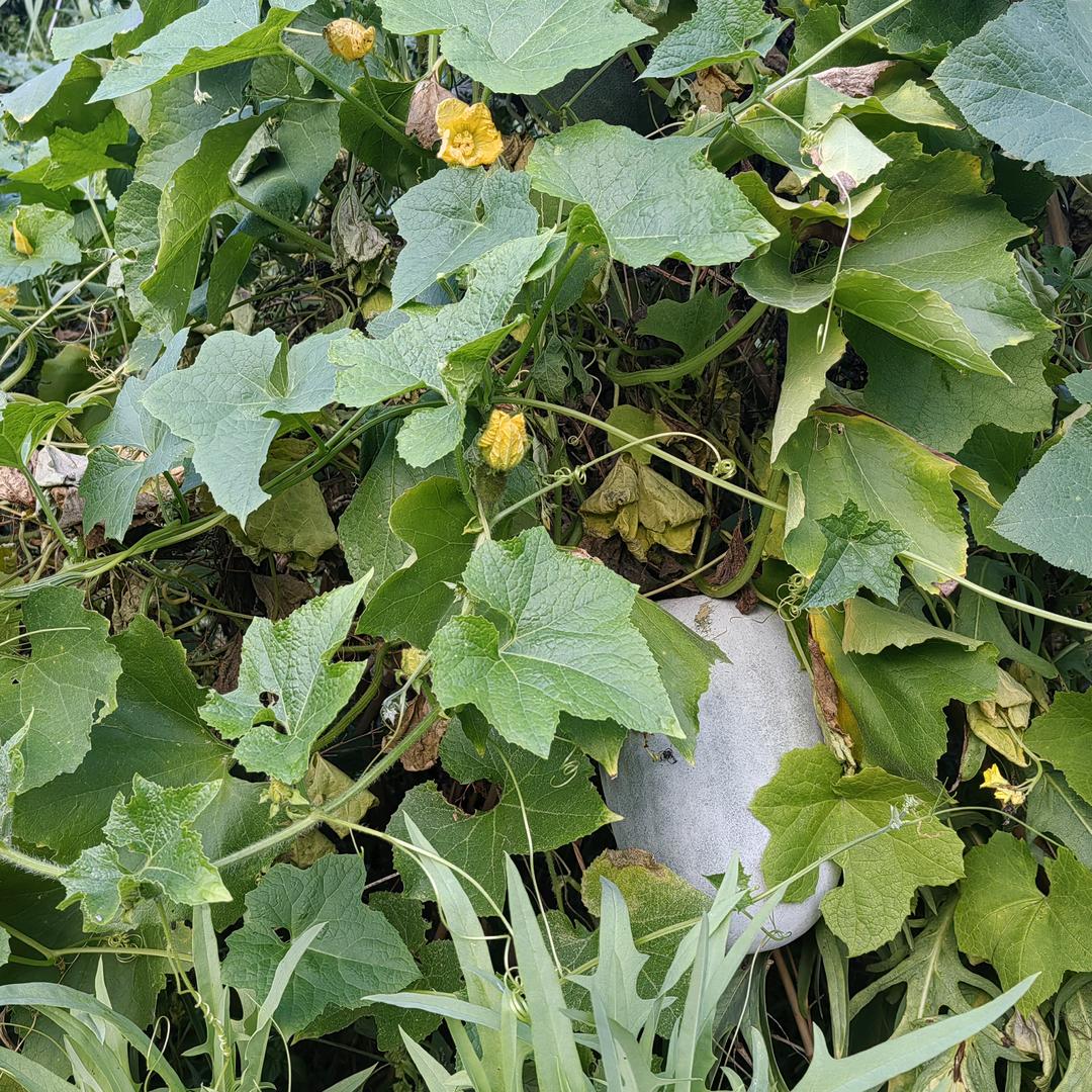 心情好什么都好