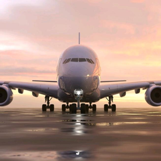 👸货代小公主👸