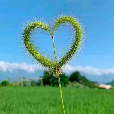 ღ᭄💞玩心꧔ꦿ᭄ 却动情ღ᭄ 💕