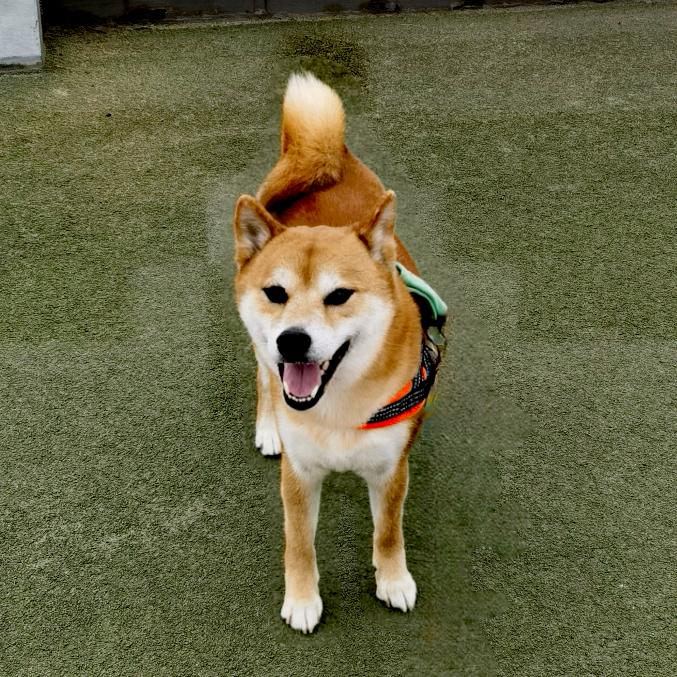 霜雪露霖