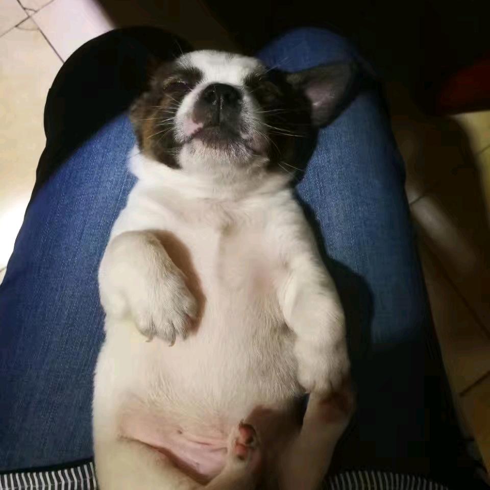 艺锦