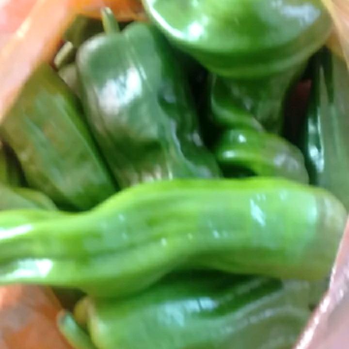林秀美