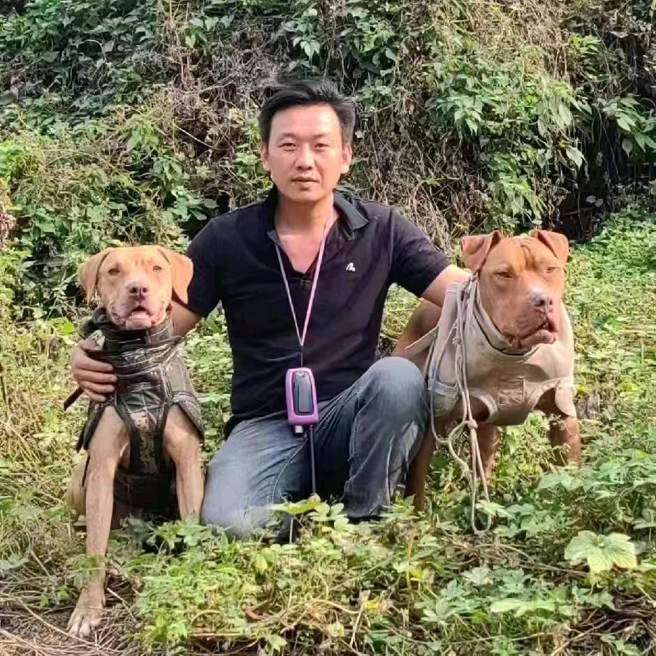 湘西小龙