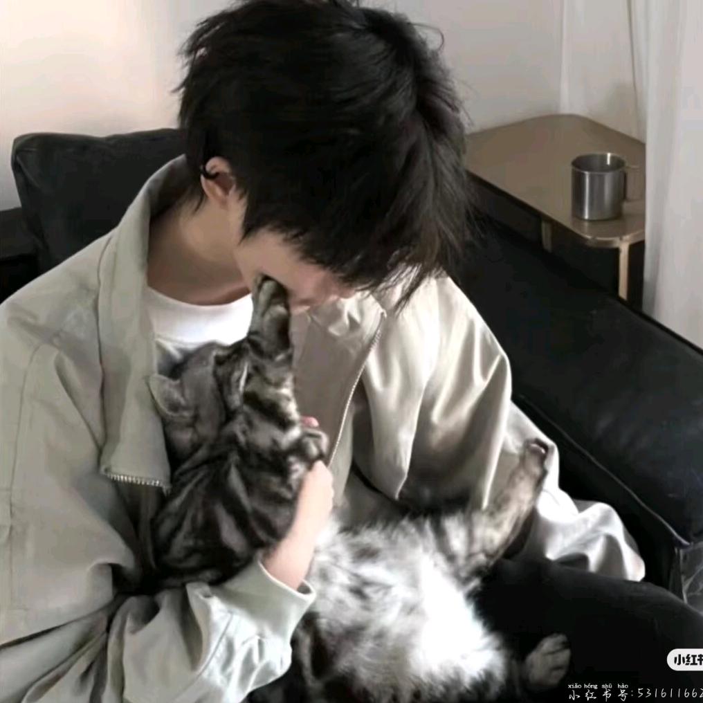 睡觉觉💤💤💤