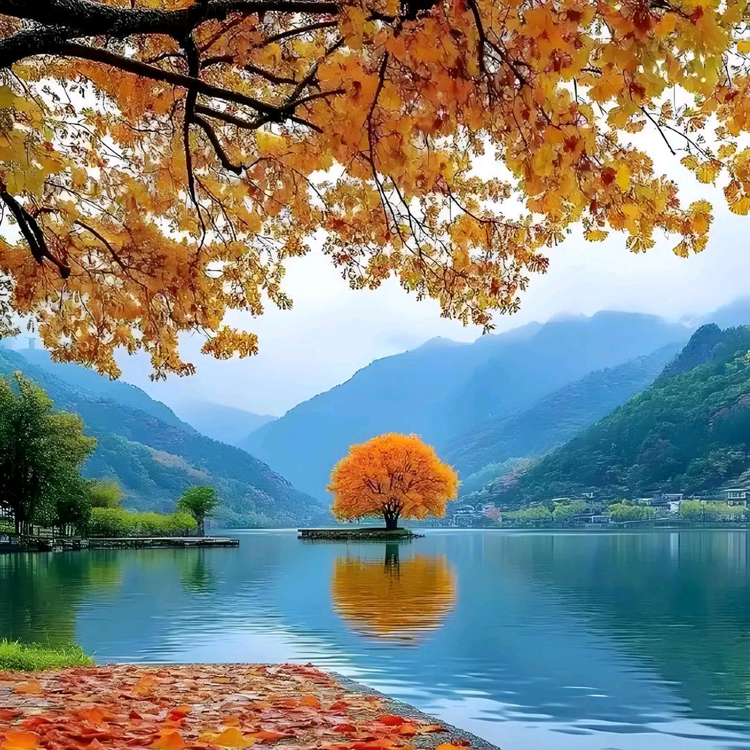 晴宝，