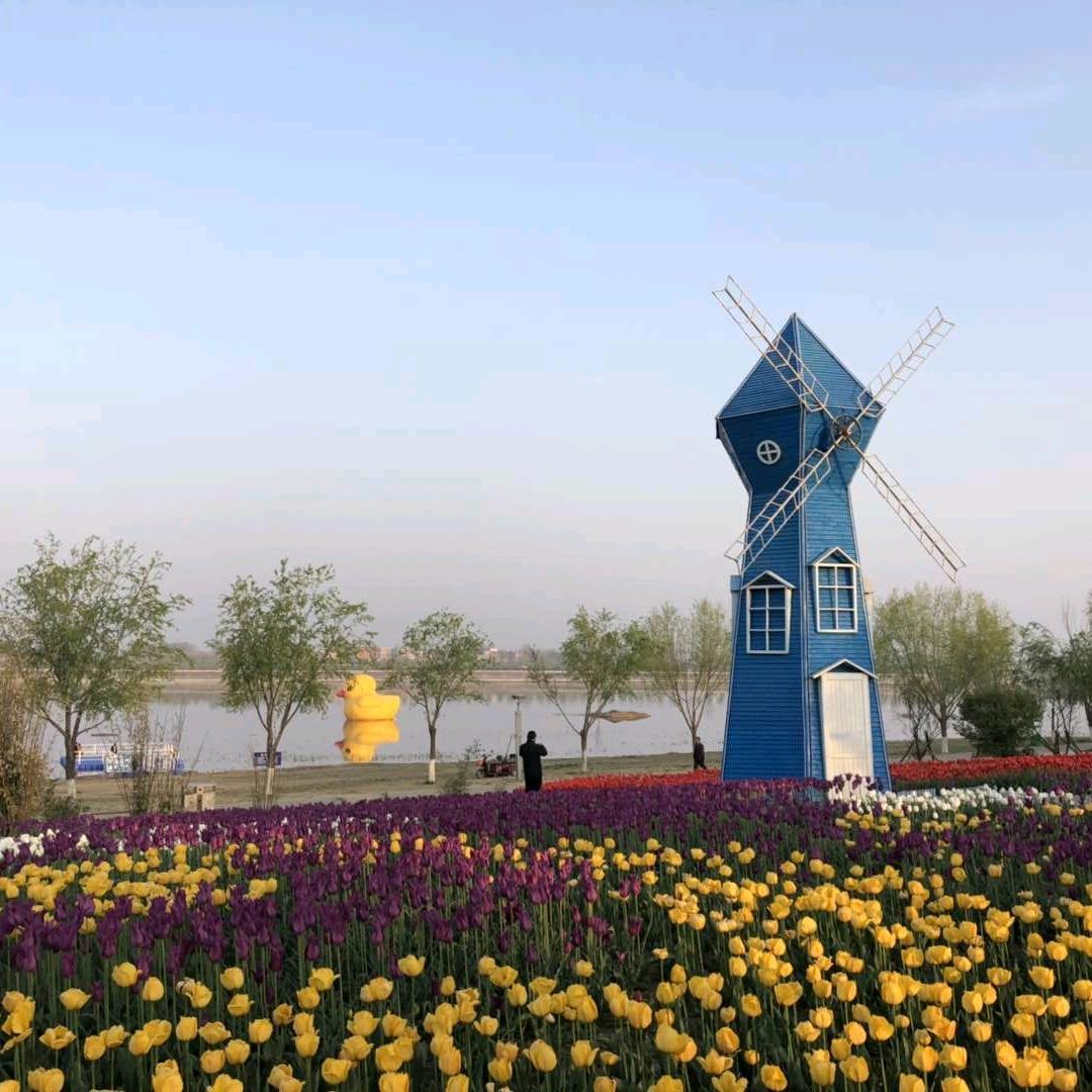 李老师鸡鸭鹅养殖指导