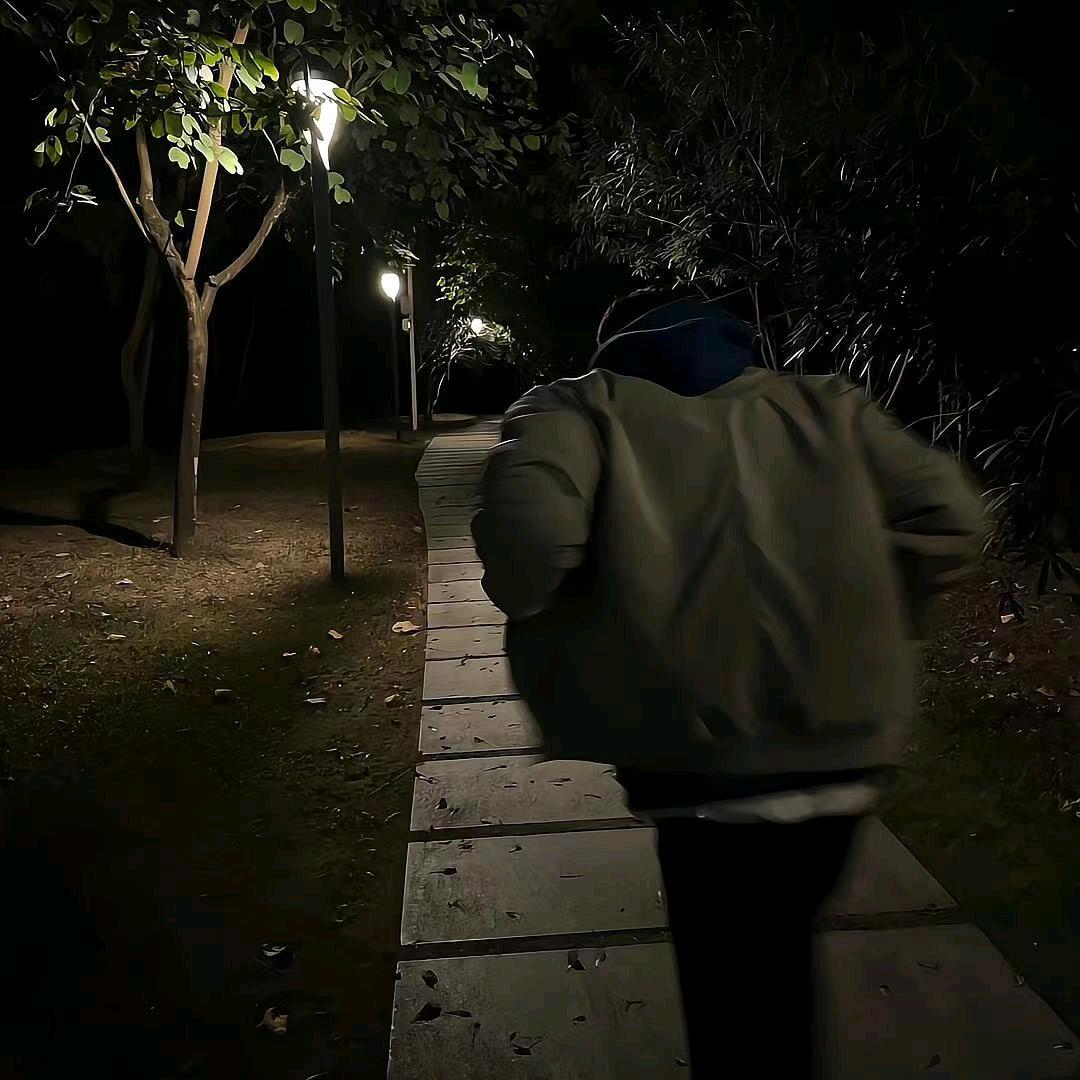 我在人間凑數的日子