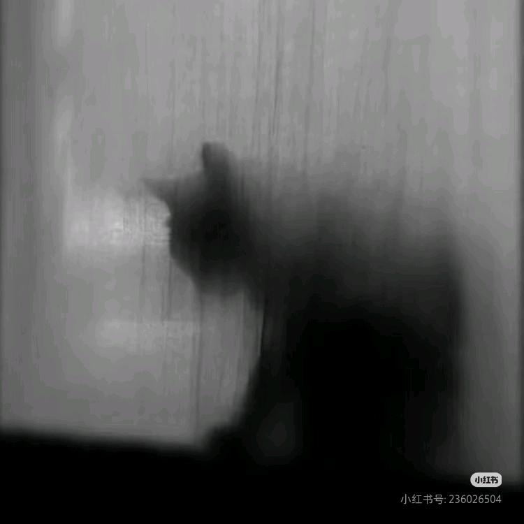 moment